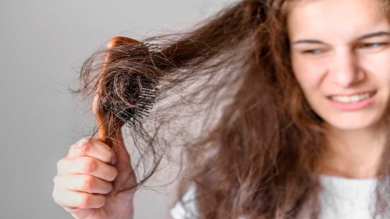 Hair Fall: தண்ணீரை மாற்றுவதால் முடி உதிர்தல் பிரச்சனை ஏற்படுமா?  தலை முடியை பாதுகாத்துக் கொள்வது எப்படி?