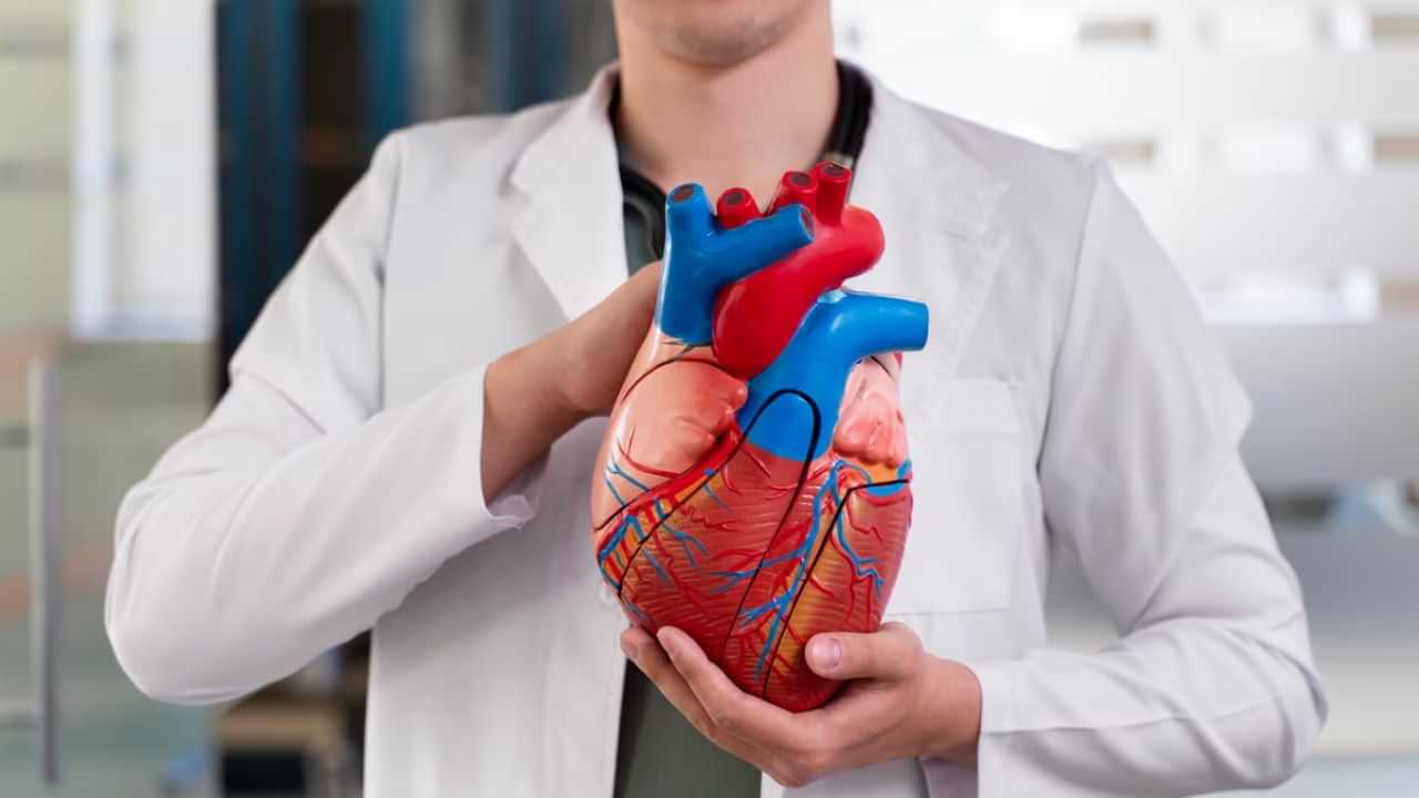 Heart Health: இளம் வயதில் மாரடைப்பு பயமா..? இந்த விஷயங்கள் இதயத்தை பாதுகாக்கும்!