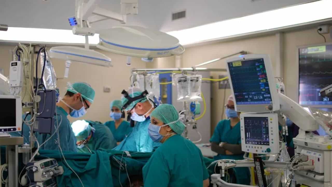 மூளை சாவு அடைந்தவருக்கு பன்றியின் கல்லீரல் - சீன மருத்துவர்கள் சாதனை!