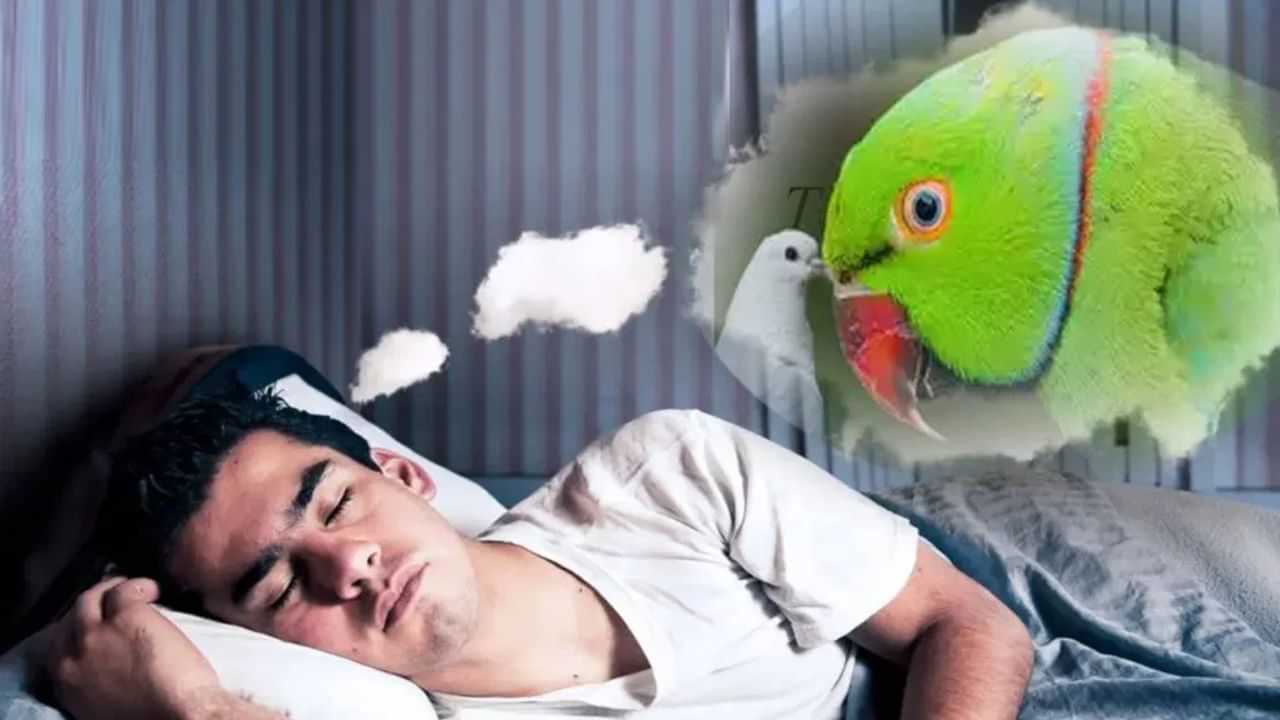 Dreams Meaning:  இந்த 3 பறவைகள் கனவில் வந்தால் நல்லது நடக்கும்!