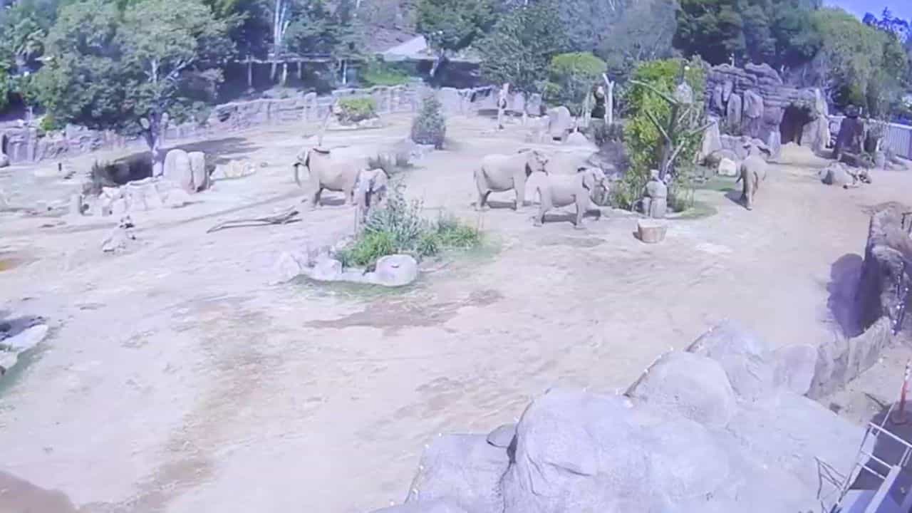 அமெரிக்காவில் சக்திவாய்ந்த நிலநடுக்கம்.. பீதியில் உறைந்த பொதுமக்கள்! அமெரிக்காவில் சக்திவாய்ந்த நிலநடுக்கம்.. பீதியில் உறைந்த பொதுமக்கள்!