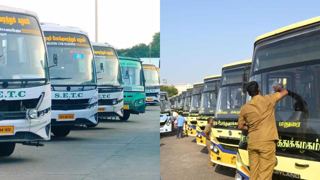 தமிழ்நாடு பேருந்துகளில் ஒரு வருடம் இலவசம்.. தமிழக அரசின் ஸ்பெஷல் குலுக்கல் போட்டி விவரம்!