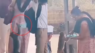 Viral Video : உலகத்தில் உயர்ந்தது தாய்மை.. குரங்கின் தாகம் தீர்த்த பெண்ணின் வீடியோ வைரல்!