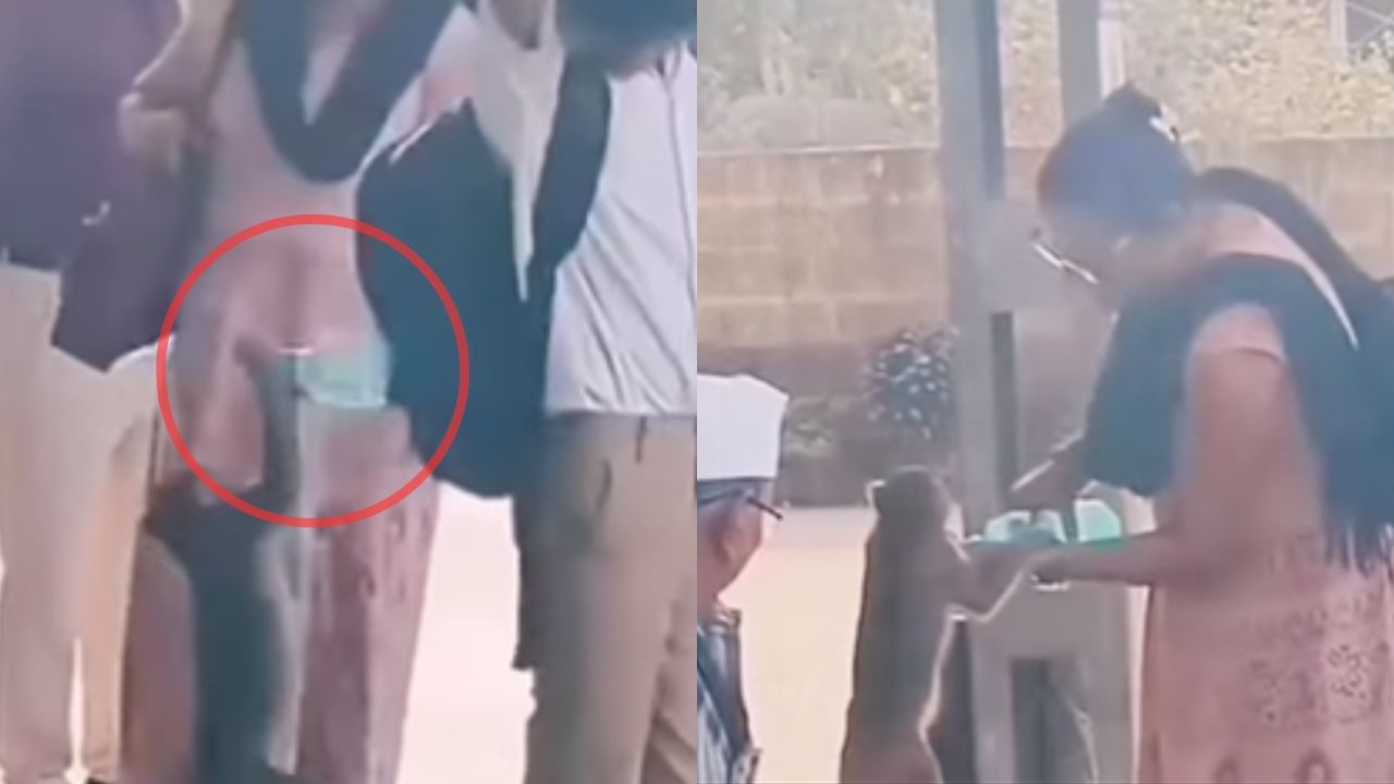 Viral Video : உலகத்தில் உயர்ந்தது தாய்மை.. குரங்கின் தாகம் தீர்த்த பெண்ணின் வீடியோ வைரல்!