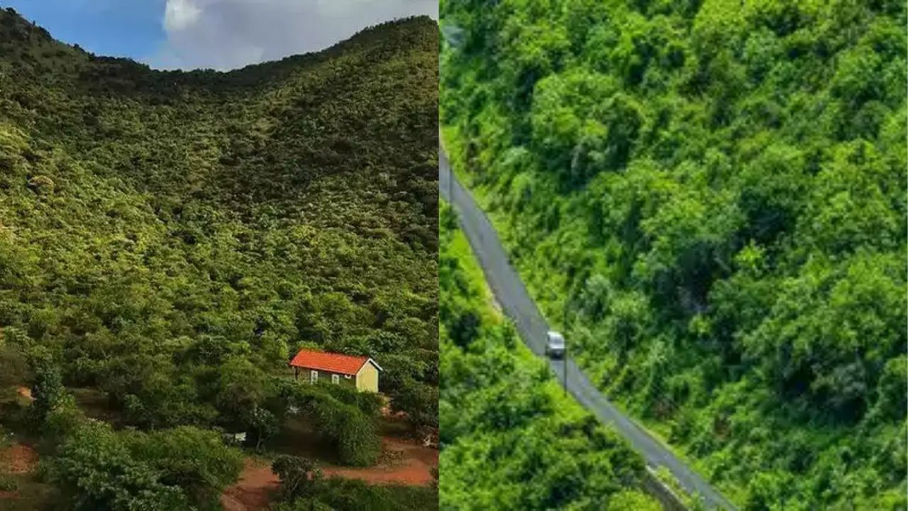 கிழக்கு தொடர்ச்சி மலையில் 7 புதிய சுற்றுலா தலங்கள்: தமிழக அரசு அறிவிப்பு! கிழக்கு தொடர்ச்சி மலையில் 7 புதிய சுற்றுலா தலங்கள்: தமிழக அரசு அறிவிப்பு!