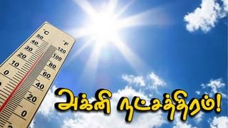 மதுரை சித்திரைத் திருவிழா: ஆட்டுத் தோல் பை செய்யும் பணி தீவிரம்..!