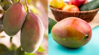 சிறுநீரில் வெள்ளை நுரை: காரணங்களும் சிகிச்சை முறைகளும்…