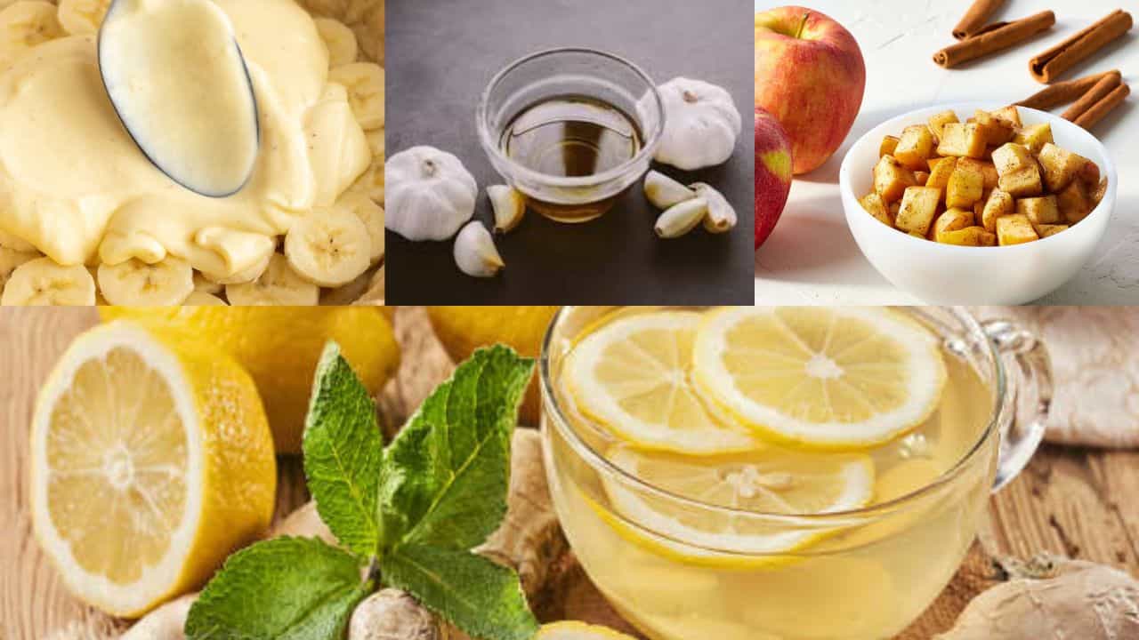 குடல் ஆரோக்கியத்தை இயற்கையாக மேம்படுத்த தினமும் சாப்பிட வேண்டிய 7 உணவுகள்! குடல் ஆரோக்கியத்தை இயற்கையாக மேம்படுத்த தினமும் சாப்பிட வேண்டிய 7 உணவுகள்!