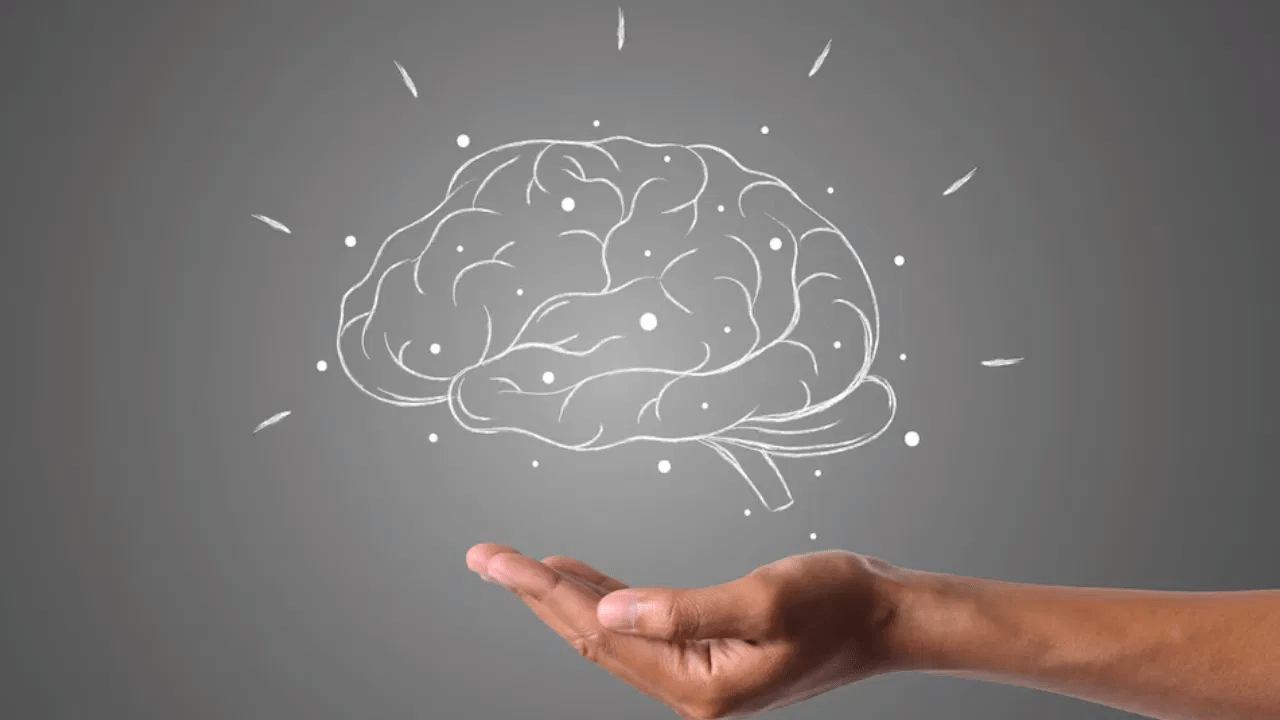 Brain Exercises: நினைவாற்றல் மற்றும் அறிவை மேம்படுத்த செய்ய வேண்டிய பயிற்சிகள் Brain Exercises: நினைவாற்றல் மற்றும் அறிவை மேம்படுத்த செய்ய வேண்டிய பயிற்சிகள்