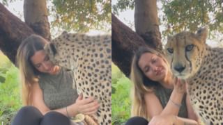 Viral Video : குழந்தையாக மாறிய புலி.. இணையத்தில் கவனத்தை ஈர்க்கும் வீடியோ!