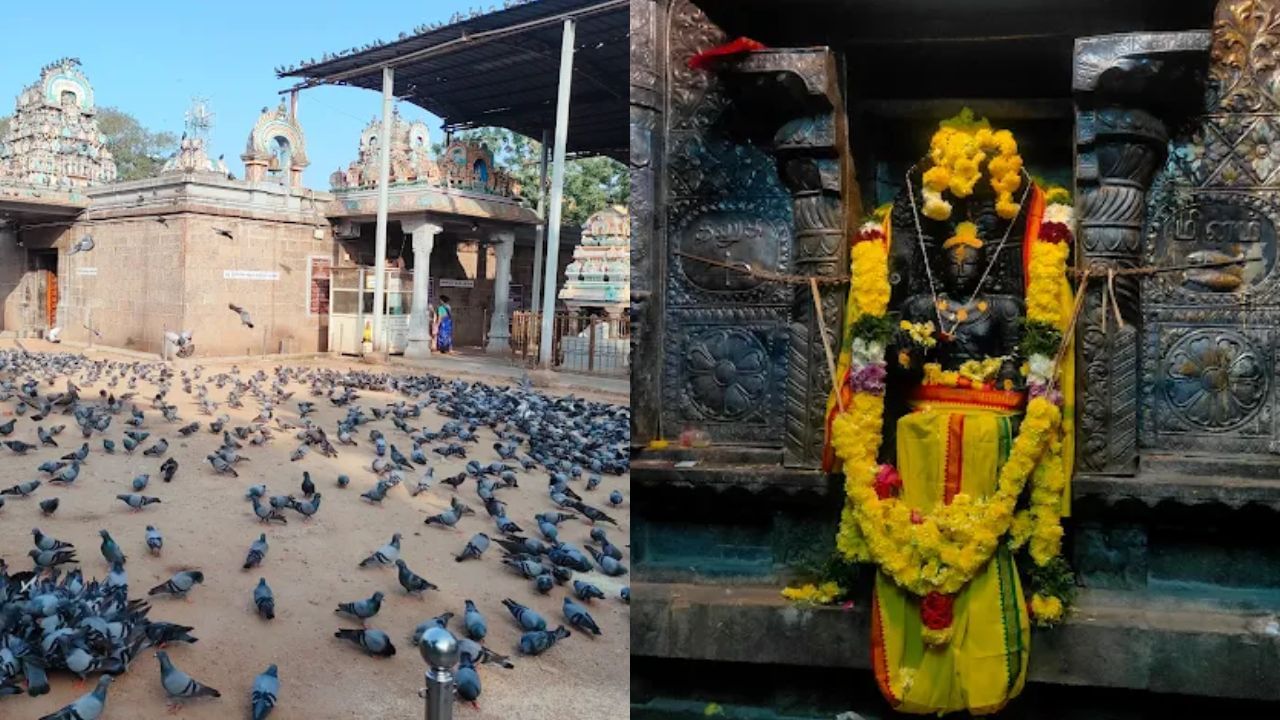 Thiruvalleswarar Temple: குருபெயர்ச்சி 2025.. சென்னையில் செல்ல வேண்டிய குருபகவான் கோயில்! Thiruvalleswarar Temple: குருபெயர்ச்சி 2025.. சென்னையில் செல்ல வேண்டிய குருபகவான் கோயில்!