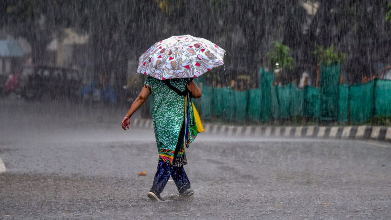 Chennai Rains: வெயிலை விரட்டிய மழை.. குளிர்ந்த சென்னை… அடுத்த 3 மணிநேரத்தில் இந்த மாவட்டங்களில் மழைக்கு வாய்ப்பு! Chennai Rains: வெயிலை விரட்டிய மழை.. குளிர்ந்த சென்னை… அடுத்த 3 மணிநேரத்தில் இந்த மாவட்டங்களில் மழைக்கு வாய்ப்பு!