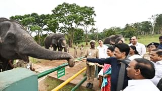 தமிழகத்தில் தேங்காய் விலை உச்சத்திற்கு போகுமா? விலை மேலும் உயரும் அபாயம்