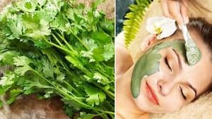 முகத்தை பளபளப்பாக்கும் கொத்தமல்லி இலை.. இப்படி ட்ரை பண்ணுங்க!