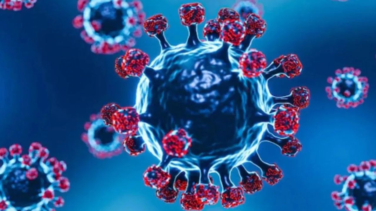 Corona Virus: கொரோனா பாதிப்பு .. இந்தியாவில் எத்தனை பேருக்கு தொற்று? Corona Virus: கொரோனா பாதிப்பு .. இந்தியாவில் எத்தனை பேருக்கு தொற்று?