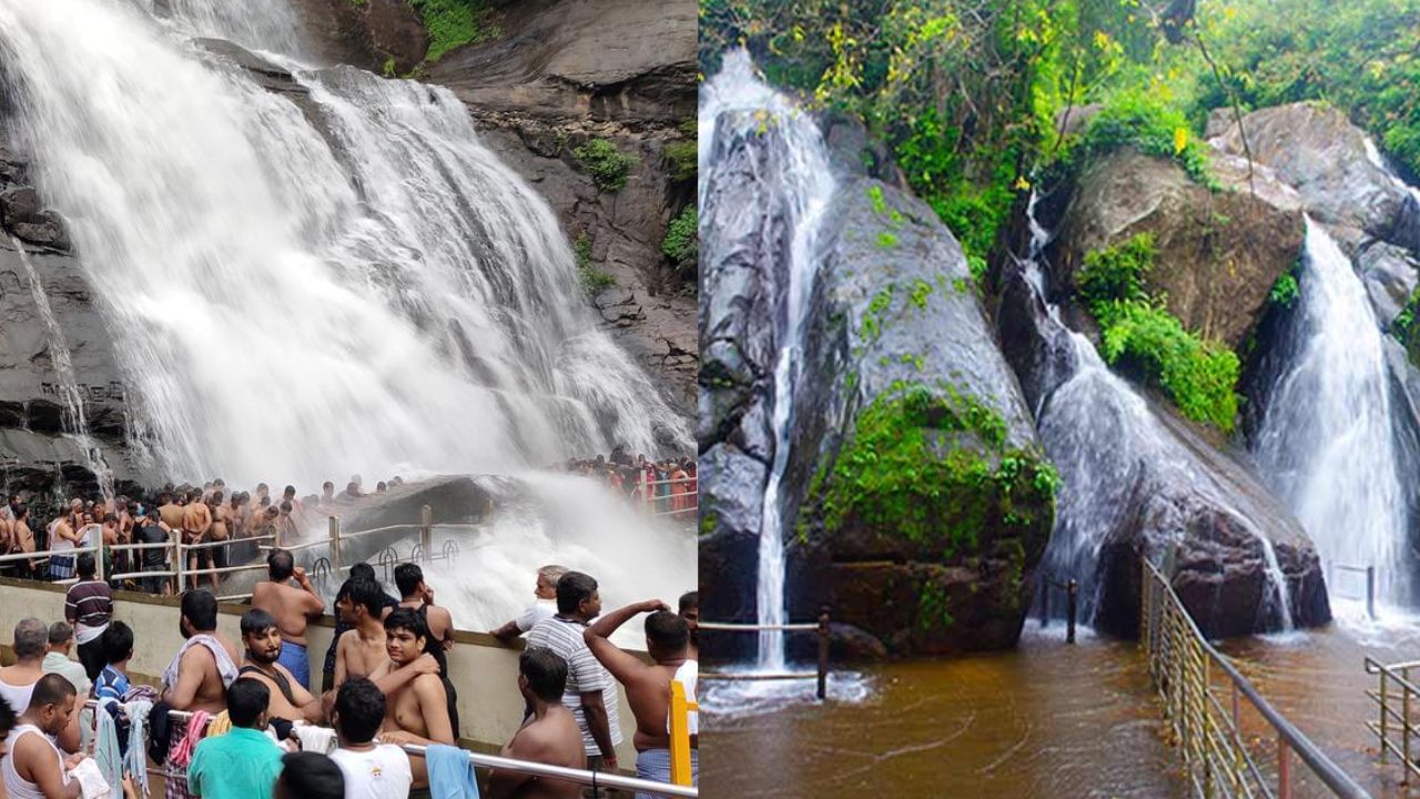 Courtallam Falls: தொடங்கியாச்சு சீசன்.. ஒரே நாளில் குற்றாலம் சென்று வருவது எப்படி? Courtallam Falls: தொடங்கியாச்சு சீசன்.. ஒரே நாளில் குற்றாலம் சென்று வருவது எப்படி?