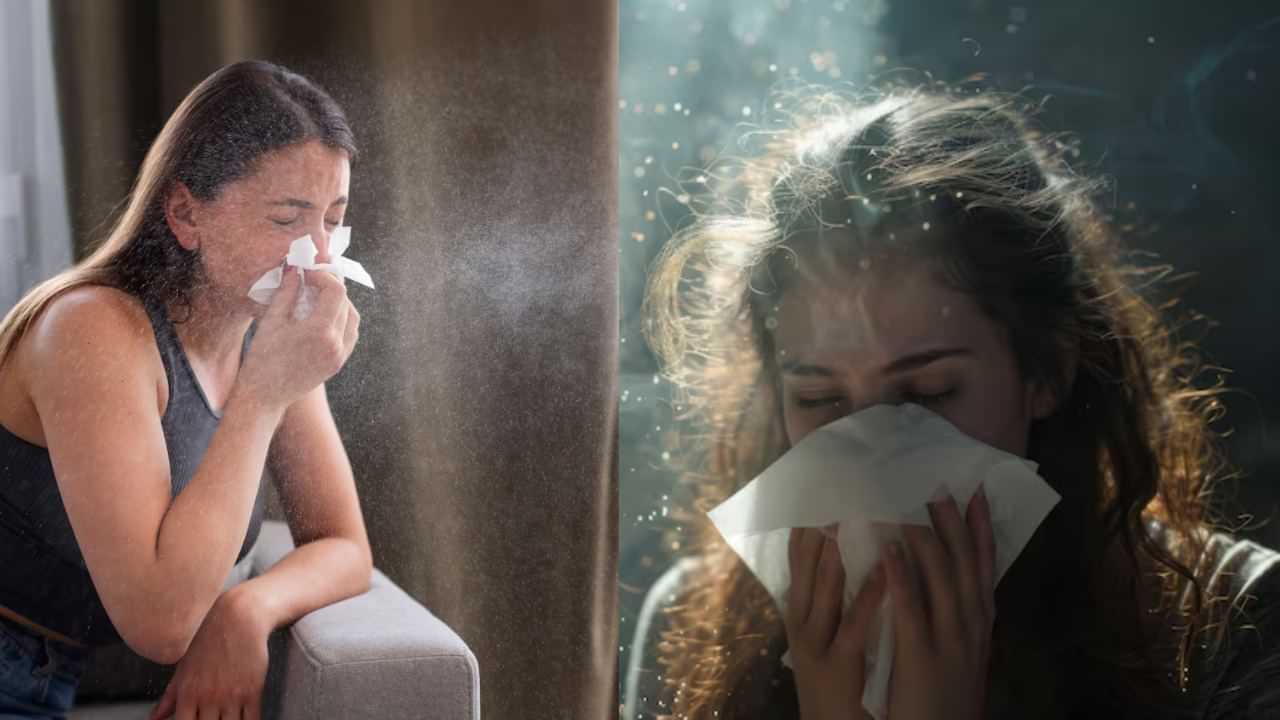 Home Cleaning Guide: தூசி அதிகமாக ஆக்கிரமிப்பு செய்கிறதா..? இதை செய்தால் வீடு சுத்தமாகும்!