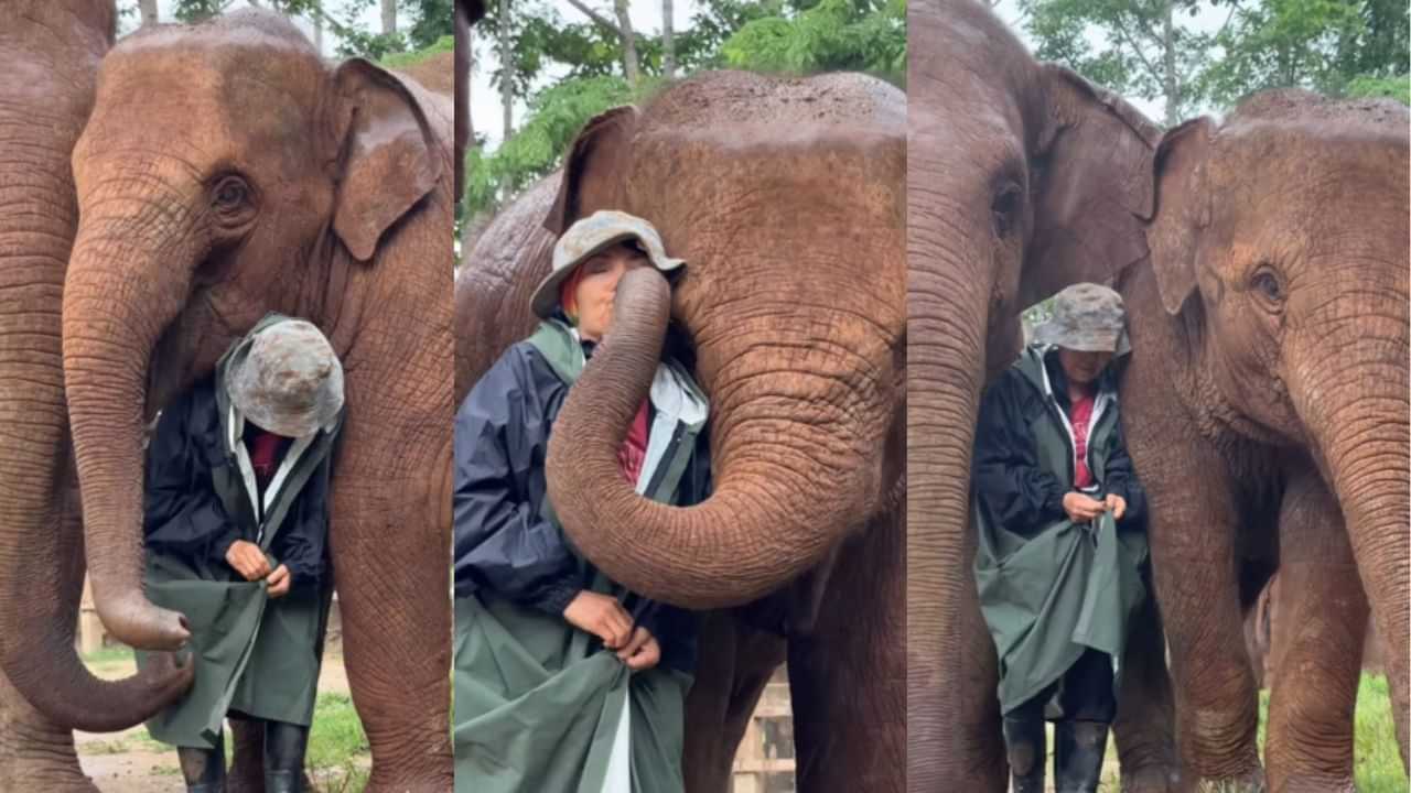 Viral Video : மழையில் நனைந்த பாதுகாவலர்.. அடுத்த நொடியே யானைகள் செய்த நெகிழ்ச்சி செயல்.. வைரல் வீடியோ!
