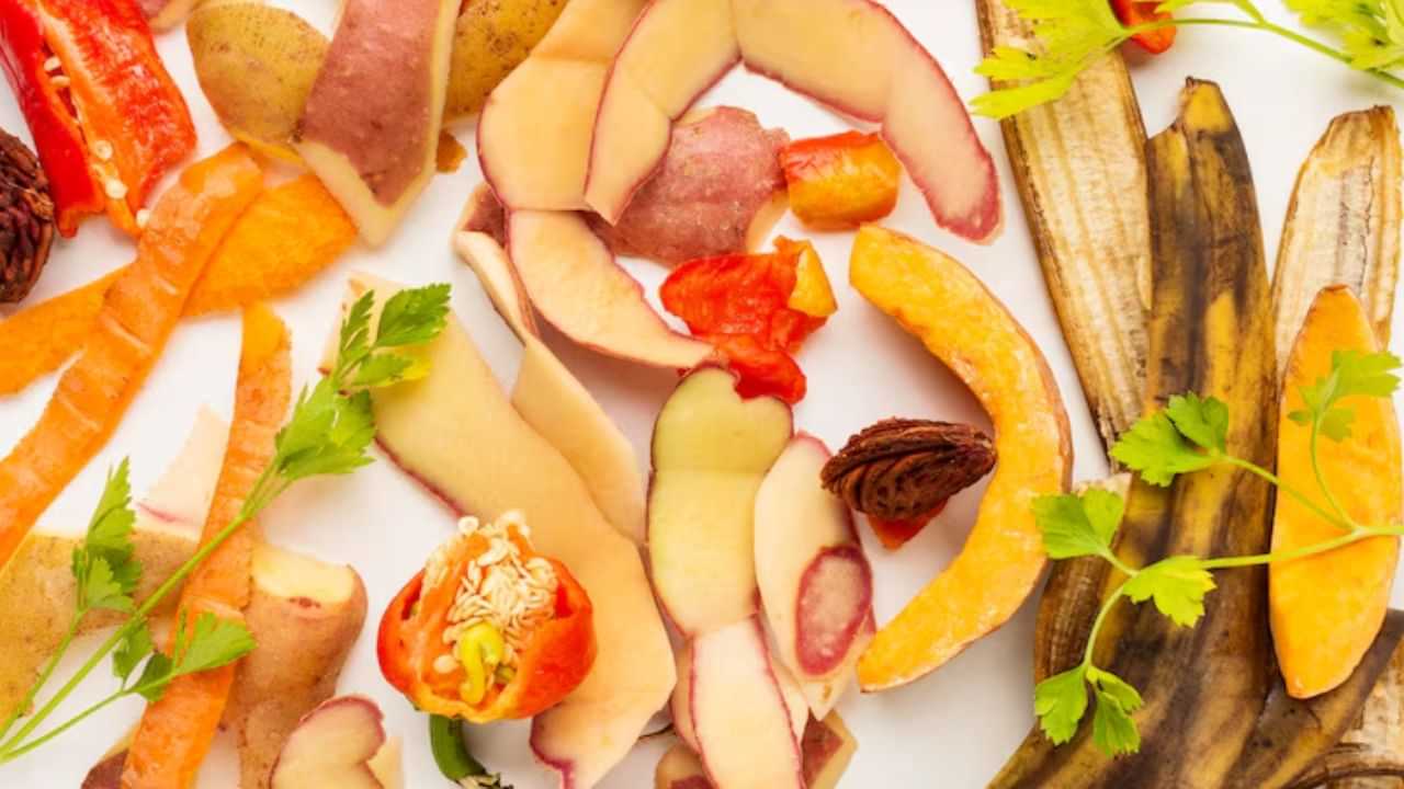 Fruit Peel Uses: பழத்தோல்களை சாப்பிட்டதும் தூக்கி எறியாதீங்க.. இவ்வளவு நல்ல விஷயங்களை செய்யலாம்..! Fruit Peel Uses: பழத்தோல்களை சாப்பிட்டதும் தூக்கி எறியாதீங்க.. இவ்வளவு நல்ல விஷயங்களை செய்யலாம்..!