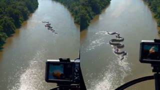 Viral Video : ஜாலியாக நடனமாடிய சுற்றுலாப் பயணிகள்.. பயணிகளைப் பறக்கவிட்ட விமானியின் வீடியோ!