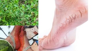 Summer Health Tips: கோடை மழையில் நனைந்தால் உங்களை நோய்வாய்ப்படுத்துமா? உண்மை இதுதான்..!