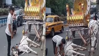 பெரும் சிக்கல்… சோனியா, ராகுல் காந்திக்கு பறந்த நோட்டீஸ்.. நீதிமன்றம் கிடுக்குபிடி!