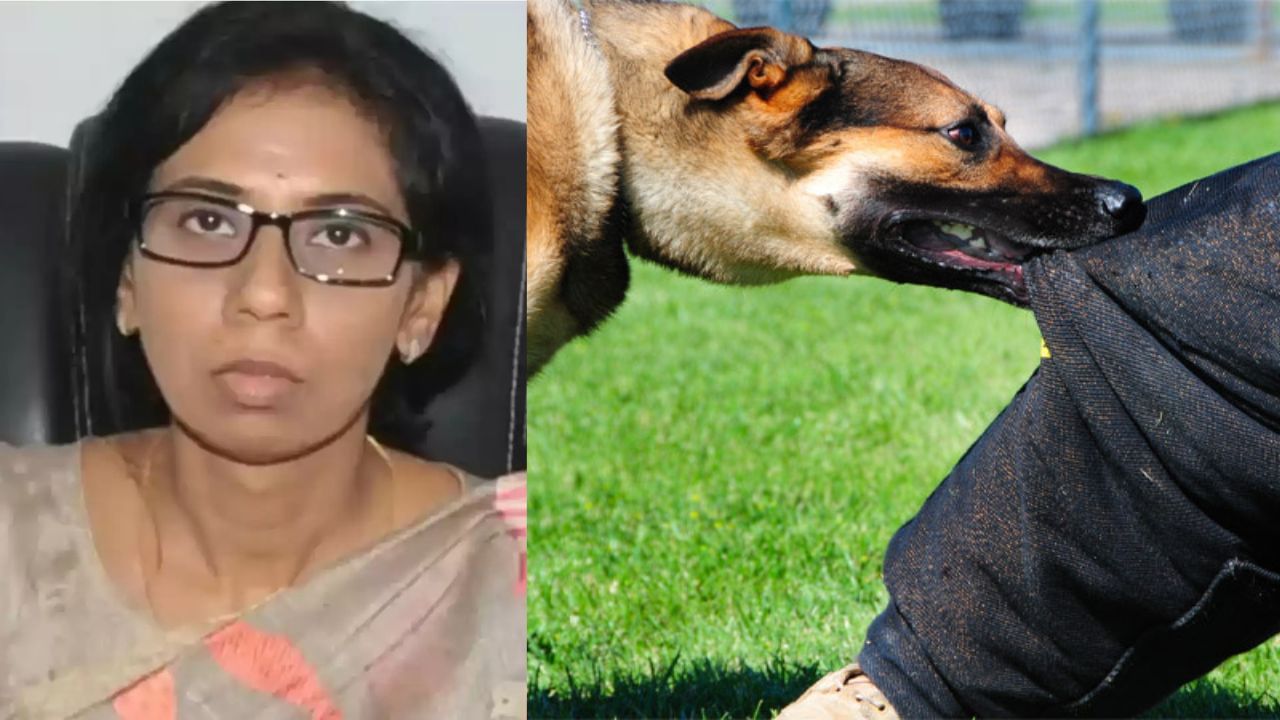 தெரு நாய்களால் தொடரும் தொல்லை… பெண் ஐஏஎஸ் அதிகாரியை நாய் கடித்ததால் பரபரப்பு தெரு நாய்களால் தொடரும் தொல்லை… பெண் ஐஏஎஸ் அதிகாரியை நாய் கடித்ததால் பரபரப்பு