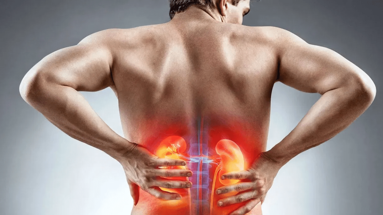 Kidney Health: கோடையில் சிறுநீரக கற்கள் ஏன் அதிகமாக ஏற்படுகின்றன தெரியுமா? Kidney Health: கோடையில் சிறுநீரக கற்கள் ஏன் அதிகமாக ஏற்படுகின்றன தெரியுமா?