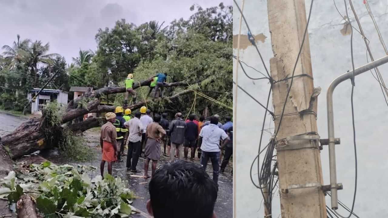 குமரியில் அவலம்: சூறாவளிக்காற்றில் சாய்ந்த 150-க்கும் மேற்பட்ட மின்கம்பங்கள்...