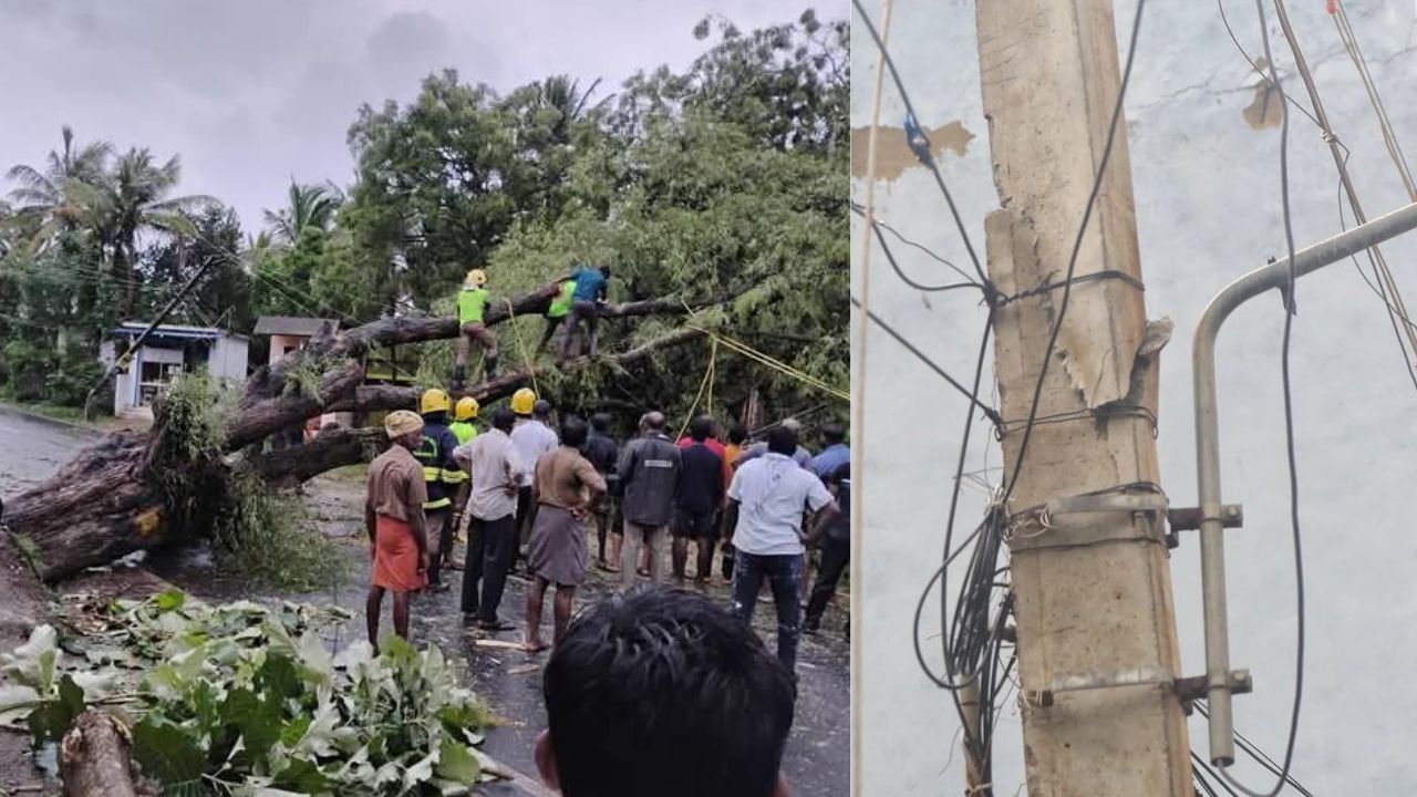 குமரியில் அவலம்: சூறாவளிக்காற்றில் சாய்ந்த 150-க்கும் மேற்பட்ட மின்கம்பங்கள்… குமரியில் அவலம்: சூறாவளிக்காற்றில் சாய்ந்த 150-க்கும் மேற்பட்ட மின்கம்பங்கள்…
