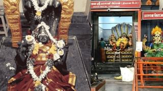 வைகாசி அமாவாசை.. ஒரே இடத்தில் கூடும் 12 சிவபெருமான்.. எங்கு தெரியுமா?