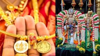 Guru Peyarchi 2025: தொட்டதெல்லாம் வெற்றி.. கன்னி ராசிக்கான குரு பெயர்ச்சி பலன்கள்!