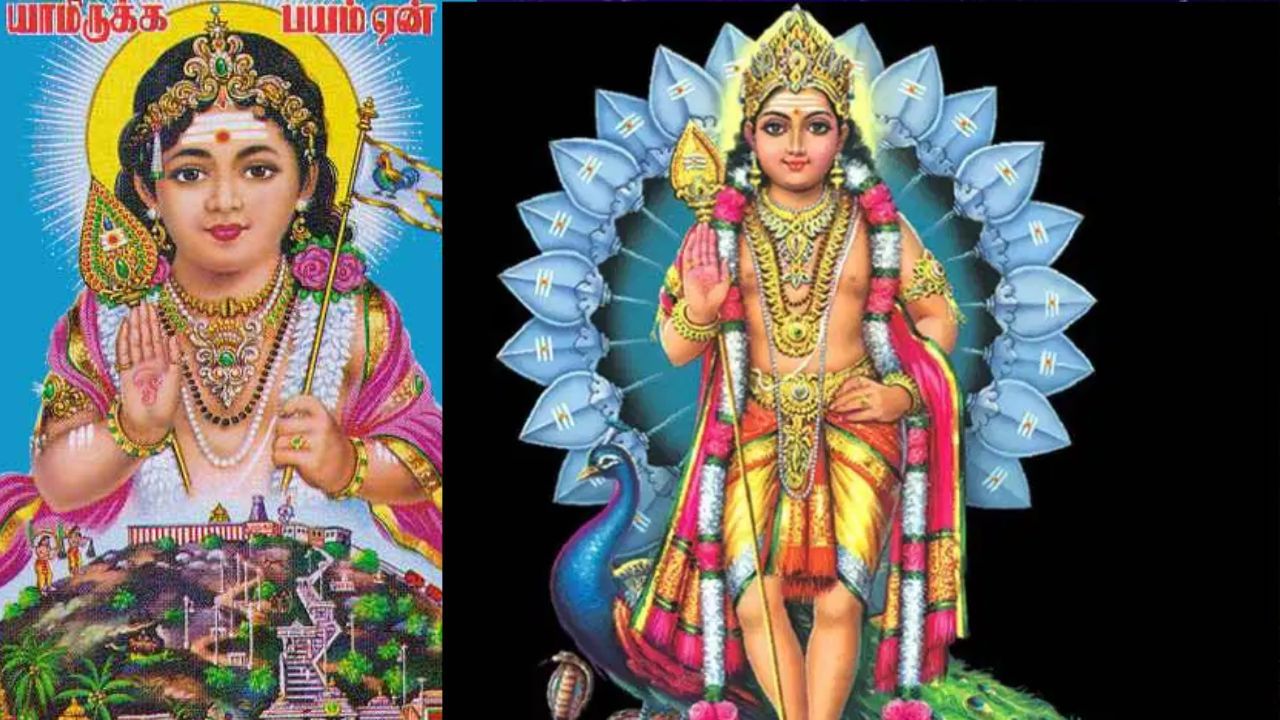Vaikasi Visakam: வைகாசி விசாகம் நாளில் விரதம் இருப்பது எப்படி? – இதோ வழிமுறைகள்! Vaikasi Visakam: வைகாசி விசாகம் நாளில் விரதம் இருப்பது எப்படி? – இதோ வழிமுறைகள்!