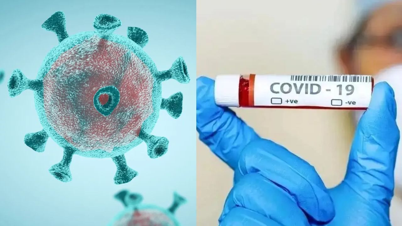Corona Virus: இந்தியாவில் 1,300 ஐ கடந்த கொரோனா பாதிப்பு.. பாதுகாப்புடன் இருக்க WHO அறிவுறுத்தல்..! Corona Virus: இந்தியாவில் 1,300 ஐ கடந்த கொரோனா பாதிப்பு.. பாதுகாப்புடன் இருக்க WHO அறிவுறுத்தல்..!