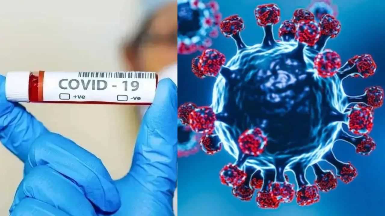 New COVID Variants India: இந்தியாவில் மீண்டும் படை எடுக்கிறதா கொரோனா..? 2 புதிய வகை தொற்று கண்டுபிடிப்பு..! New COVID Variants India: இந்தியாவில் மீண்டும் படை எடுக்கிறதா கொரோனா..? 2 புதிய வகை தொற்று கண்டுபிடிப்பு..!