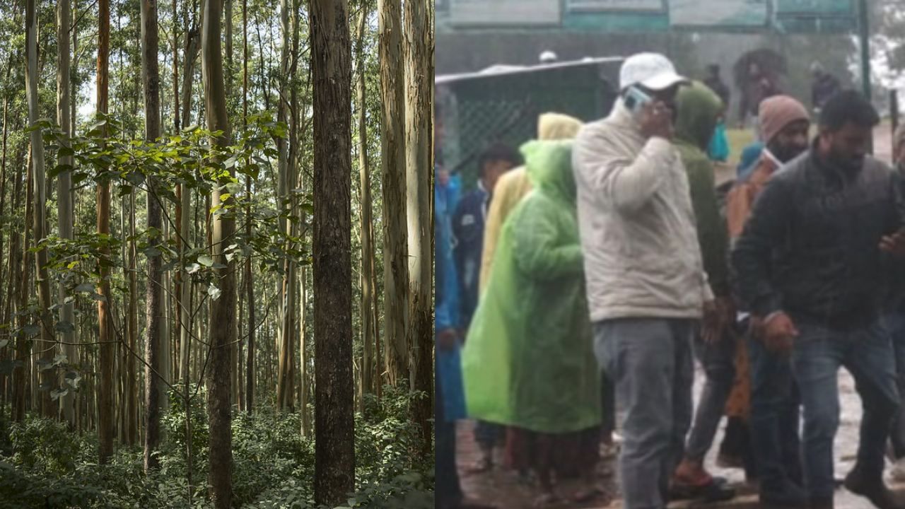 நீலகிரிக்கு பெற்றோருடன் வந்த கேரள சிறுவன்! மரம் முறிந்து உயிரிழப்பு.. சுற்றுலா தலங்கள் மூடல்! நீலகிரிக்கு பெற்றோருடன் வந்த கேரள சிறுவன்! மரம் முறிந்து உயிரிழப்பு.. சுற்றுலா தலங்கள் மூடல்!