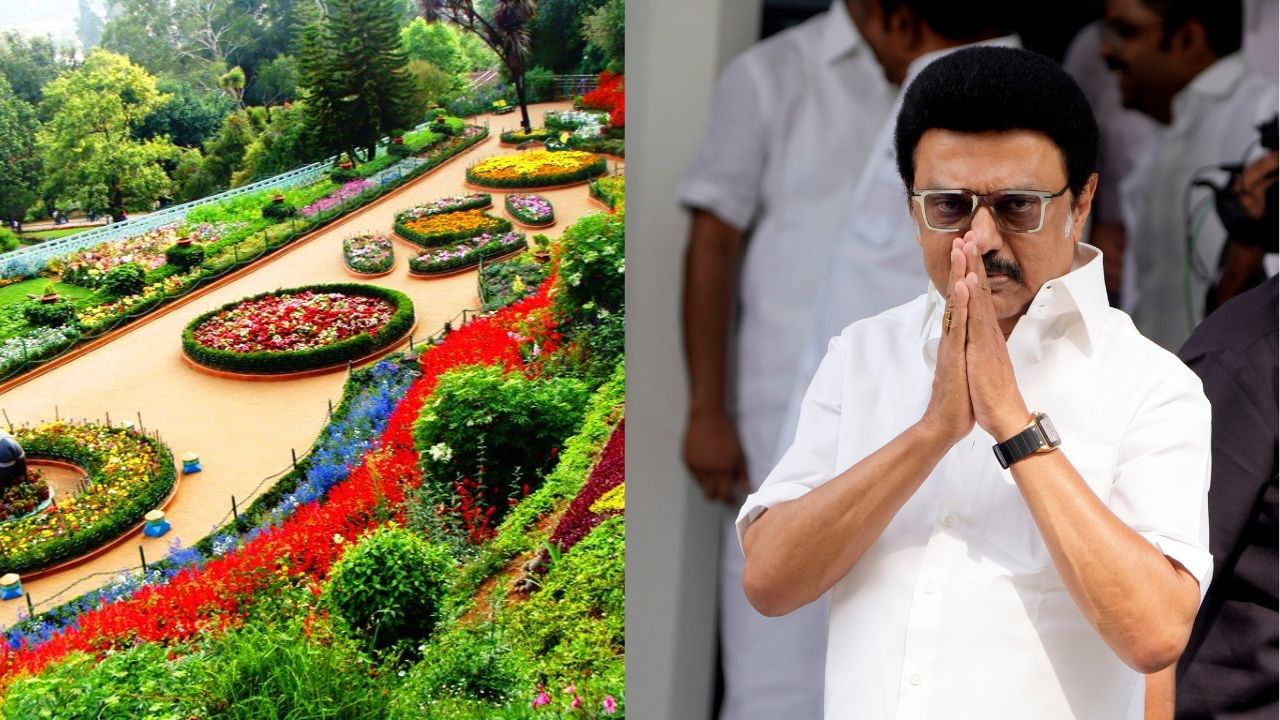 ஊட்டியில் 127வது மலர் கண்காட்சி.. முதலமைச்சர் மு.க.ஸ்டாலின் தொடங்கி வைக்கிறார்! ஊட்டியில் 127வது மலர் கண்காட்சி.. முதலமைச்சர் மு.க.ஸ்டாலின் தொடங்கி வைக்கிறார்!