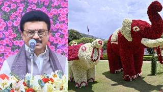 திருப்பதி சென்ற திருவண்ணாமலை பஸ் விபத்து.. 30க்கும் மேற்பட்டவர்கள் படுகாயம்.. விவரம்!