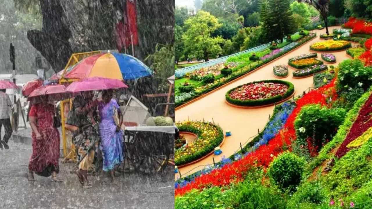 மழை ஓய்ந்தது… நீலகிரி சுற்றுலா தலங்கள் இன்று முதல் மீண்டும் திறப்பு!