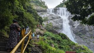 தமிழ்நாடு 3 நாள் சுற்றுலாத் திட்டம்:  இப்போதே முன்பதிவு செய்யுங்கள்!