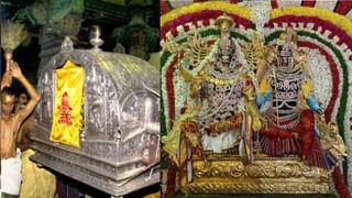 Vaikasi Amavasaya: வைகாசி அமாவாசை.. வீட்டிலேயே வழிபாடு செய்வது எப்படி?