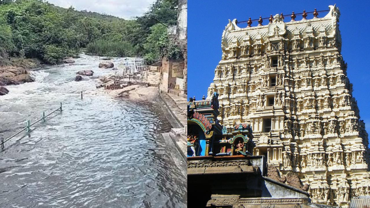 நவகைலாய தலங்கள்.. பாவம் தீர்க்கும் பாபநாதர் சுவாமி திருக்கோயில்! நவகைலாய தலங்கள்.. பாவம் தீர்க்கும் பாபநாதர் சுவாமி திருக்கோயில்!