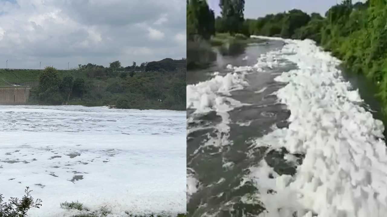 தென்பெண்ணை ஆற்றில் மீண்டும் நச்சு நுரை: விவசாயமும் குடிநீரும் கடும் பாதிப்பு தென்பெண்ணை ஆற்றில் மீண்டும் நச்சு நுரை: விவசாயமும் குடிநீரும் கடும் பாதிப்பு