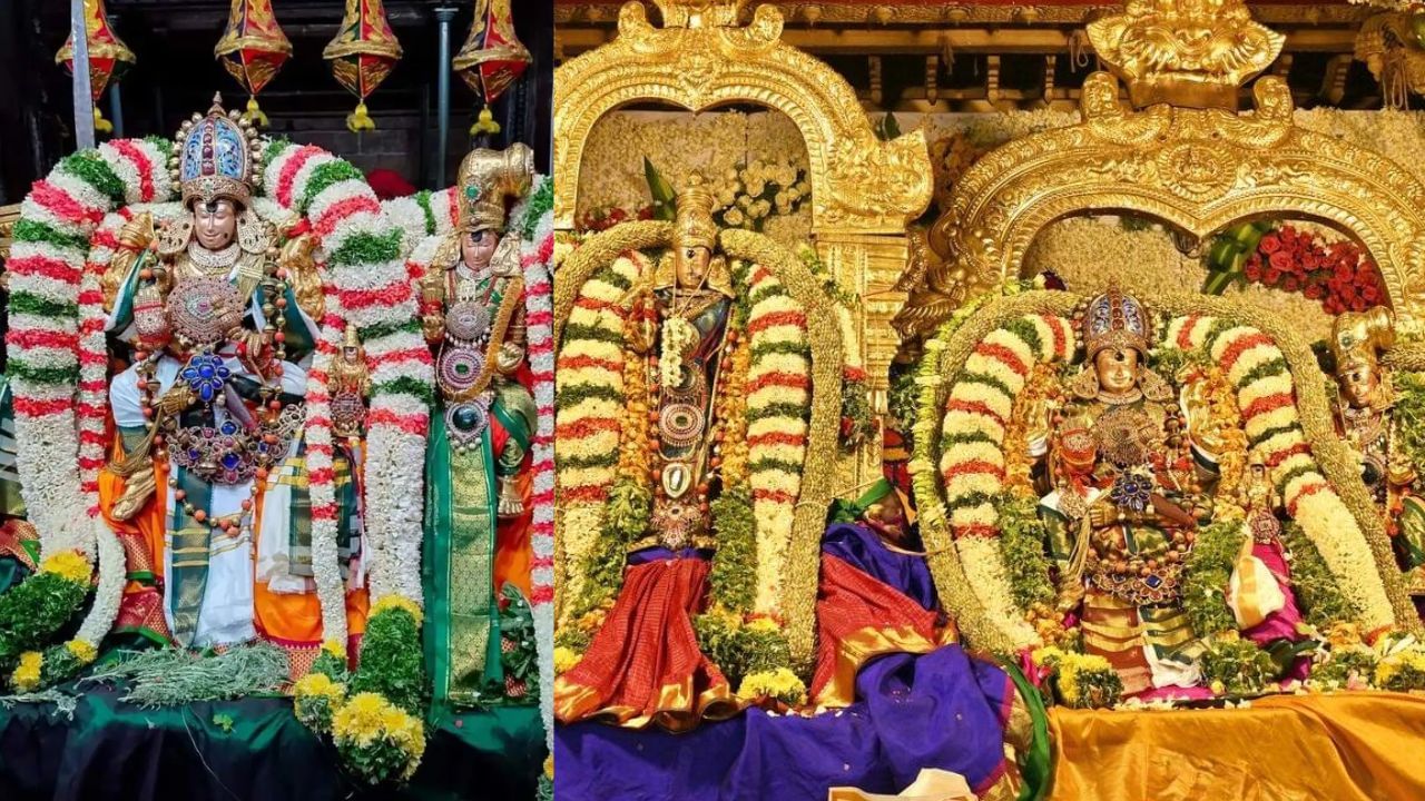மீனாட்சி சுந்தரேஸ்வரர் திருக்கல்யாணம்.. கூடவே வரும் பிரியாவிடை அம்மனின் மகிமை! மீனாட்சி சுந்தரேஸ்வரர் திருக்கல்யாணம்.. கூடவே வரும் பிரியாவிடை அம்மனின் மகிமை!