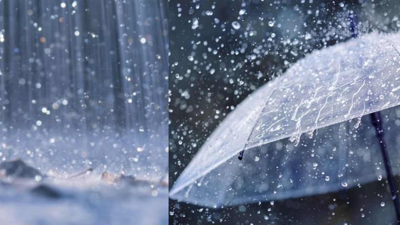 TN Weather: வெயிலுக்கு குட் பை…. இன்னும் சில நாட்களுக்கு மழை தொடரும்… TN Weather: வெயிலுக்கு குட் பை…. இன்னும் சில நாட்களுக்கு மழை தொடரும்…