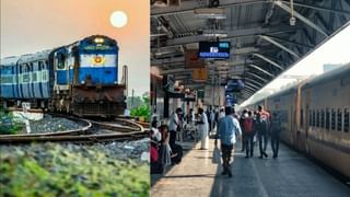 சுற்றுலாப்பயணிகளே உஷார்… ஆழியார் அணையில் சுற்றித்திரியும் காட்டு யானைகள்