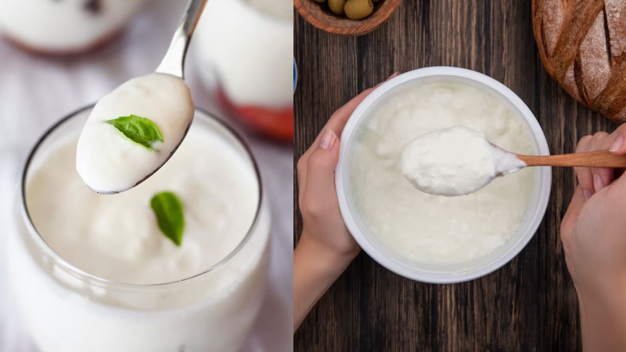 Summer Curd Storage: கோடையில் தயிர் ஏன் விரைவாக கெட்டுப்போகிறது? தடுப்பது எப்படி..? Summer Curd Storage: கோடையில் தயிர் ஏன் விரைவாக கெட்டுப்போகிறது? தடுப்பது எப்படி..?