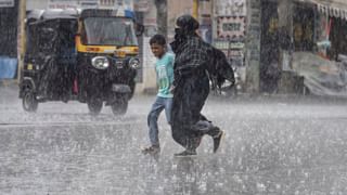 நீலகிரியில் மே 15-ம் தேதி உள்ளூர் விடுமுறை! காரணம் இதுதான்..!