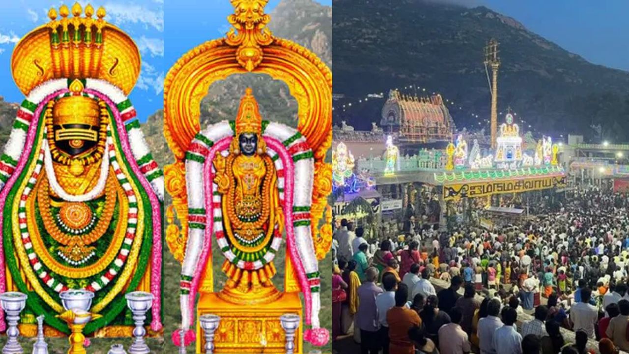 திருவண்ணாமலை சித்ரா பவுர்ணமி 2025: கோவில் திருவிழா, சிறப்பு ரெயில்கள், பேருந்துகள் அறிவிப்பு திருவண்ணாமலை சித்ரா பவுர்ணமி 2025: கோவில் திருவிழா, சிறப்பு ரெயில்கள், பேருந்துகள் அறிவிப்பு