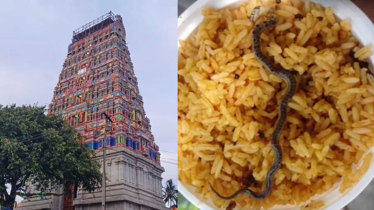 ஓசூர் கோயில் பிரசாதத்தில் பாம்பு.. பக்தர்கள் அதிர்ச்சி.. இணையத்தில் தீயாய் பரவும் புகைப்படங்கள்..!